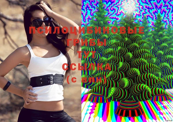 марки lsd Абаза