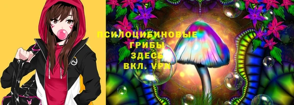 соль ск Абдулино