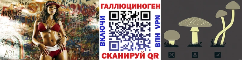Псилоцибиновые грибы GOLDEN TEACHER  Туран 