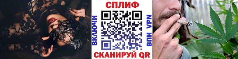 Канабис SATIVA & INDICA  Туран 